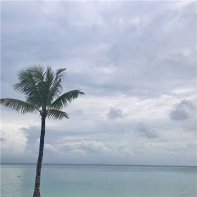 小狗救援巡逻队2游戏下载